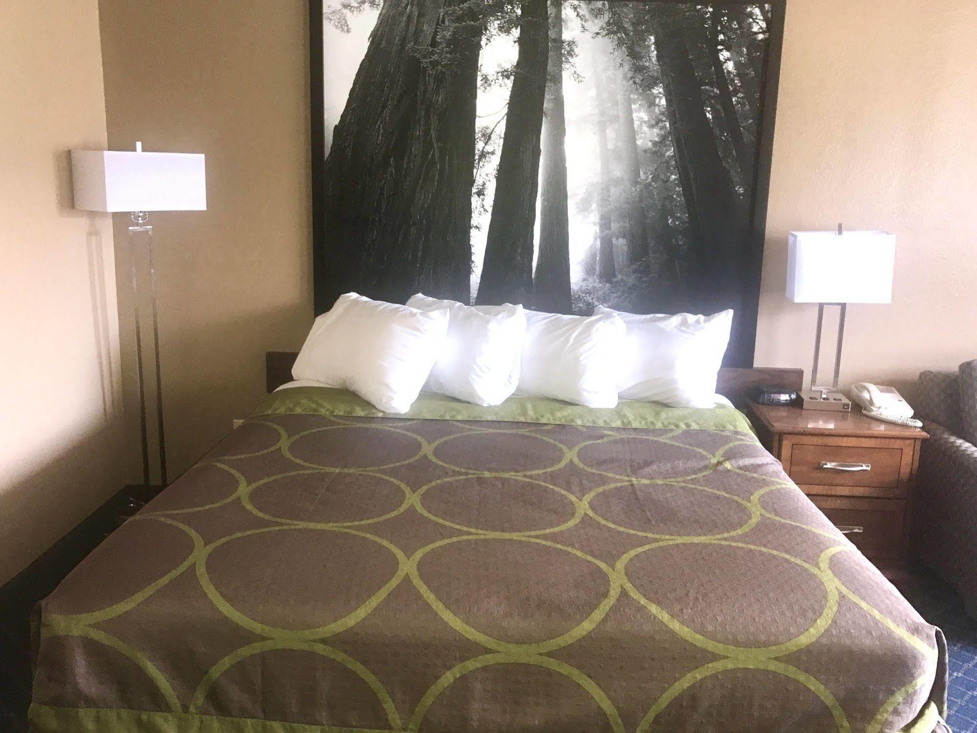 Super 8 By Wyndham Arcata Hotel Luaran gambar